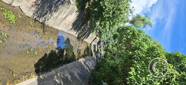 Creek across Calle Camacho