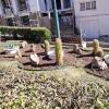 Plaza de La Madre (2)