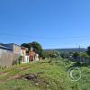 Calle Pando