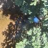 Rio Robore from unnamed road (2)