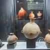 Museo Arqueológico (14)
