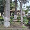 Plaza Principal (7)
