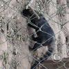 Wild animal refuge (13)
