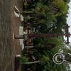 Plaza Principal (6)