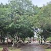 Plaza Principal (7)