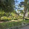 Plaza Principal along Av Ciro Mealla (4)