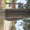 Plaza Chiquitana (6)
