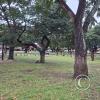 Plaza Principal (14)