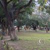 Plaza Principal (15)