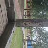 Plaza Principal (6)