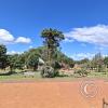 Parque Principal (6)