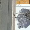 Calle Eduardo Avaroa (3)