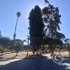 Plaza Aniceto Arce at Calle PCalama and Calle Ladislao Cabrera (3)