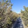 Av Las Americas (4)