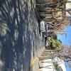 Calle Virginia Lema