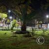 Parque Bolivar (5)