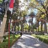 Plaza Principal Luis De Fuentes (4)