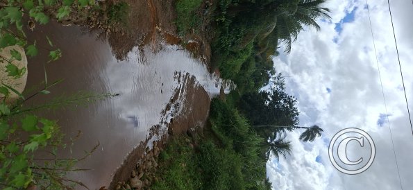 Creek across Av Circunvalacion (2)