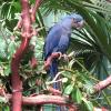 img_1882_17659227661_o