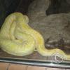 picture-041_17636109416_o
