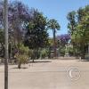 Plaza de Armas (10)