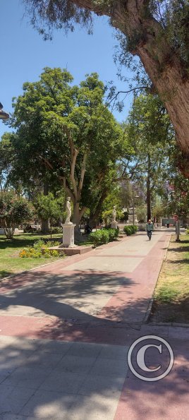 Plaza de Armas (3)