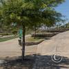 Riverside park (5)