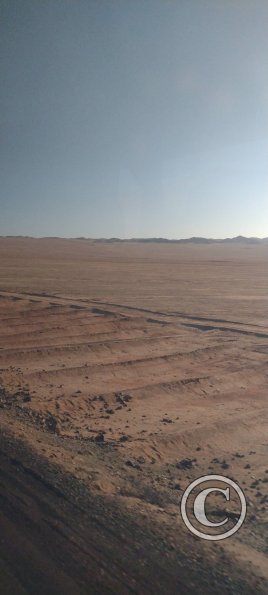 The Atacama desert between Taltal and Chanaral (4)