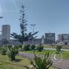 Parque Cristobol at Playa Cavancha (6)