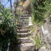 Cerro Santa Lucía (2)
