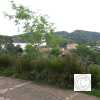 IMG_20210608_160409