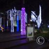 IMG_20201208_185420