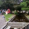 IMG-20201129-WA0005