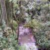 IMG-20201129-WA0039