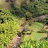 IMG_20201102_143709_230