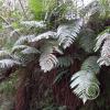 IMG_20210415_123657
