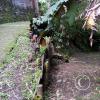 IMG-20201129-WA0032