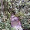 IMG-20201129-WA0039