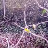 IMG_20201129_144104_129