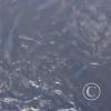 IMG_20201129_145255_138
