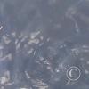 IMG_20201129_145259_722