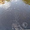 IMG_20201129_145316_346