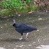 IMG_20201213_131853