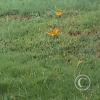 IMG_20180626_072848
