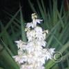 IMG_20190318_202632