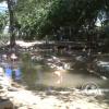 IMG00245