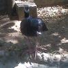 IMG00248