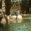 img00255_22134667459_o