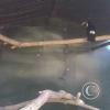 img00272_22133885448_o