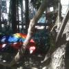 img00296_22321691775_o
